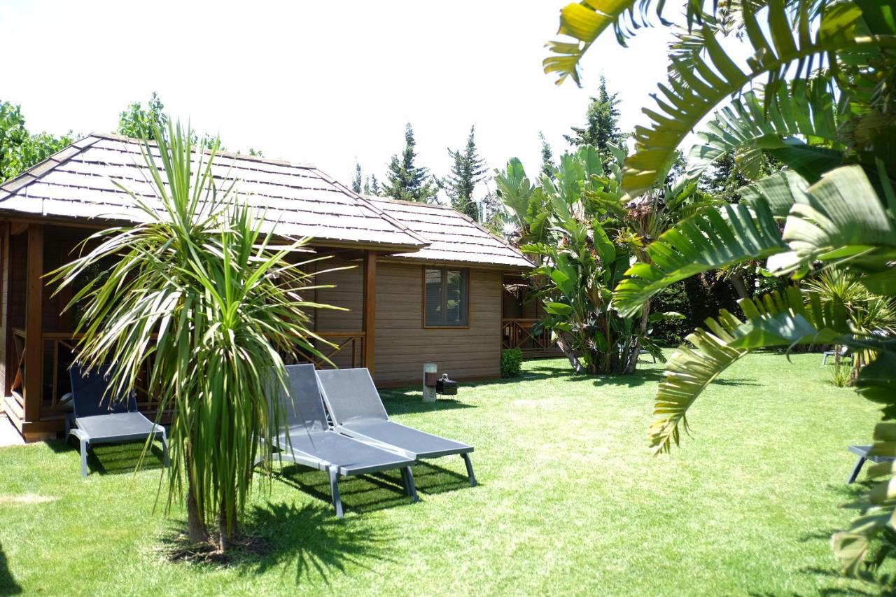 Playa Montroig Camping Resort エクステリア 写真
